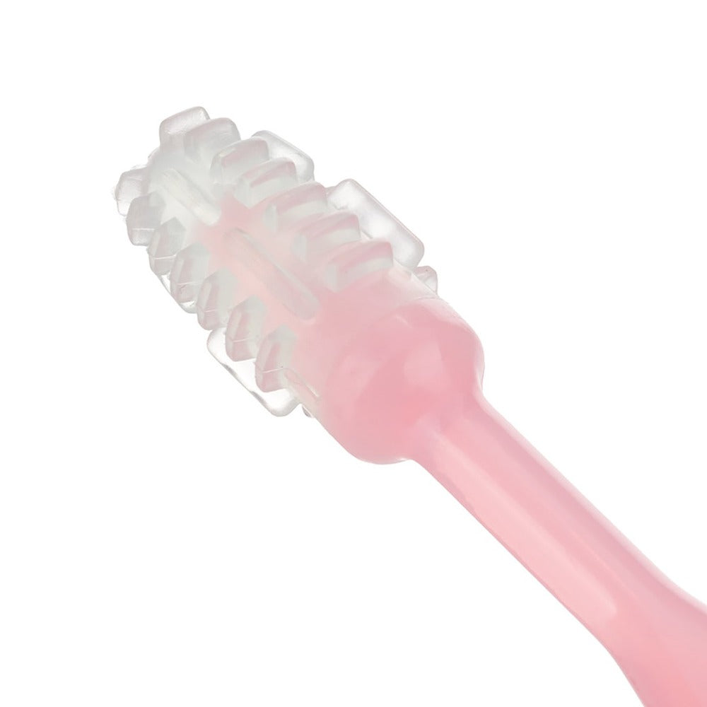Kit de entrenamiento para el uso del cepillo de dientes