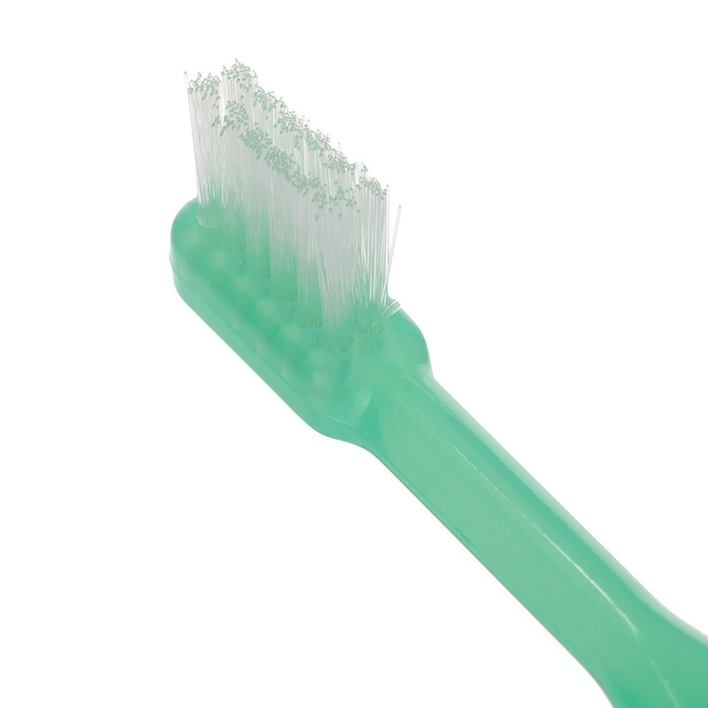 Kit de entrenamiento para el uso del cepillo de dientes