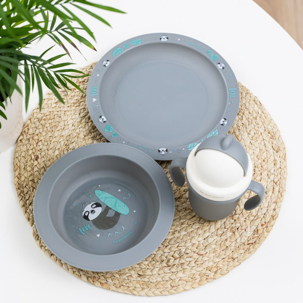 Ensemble d'assiettes grises Animaux exotiques