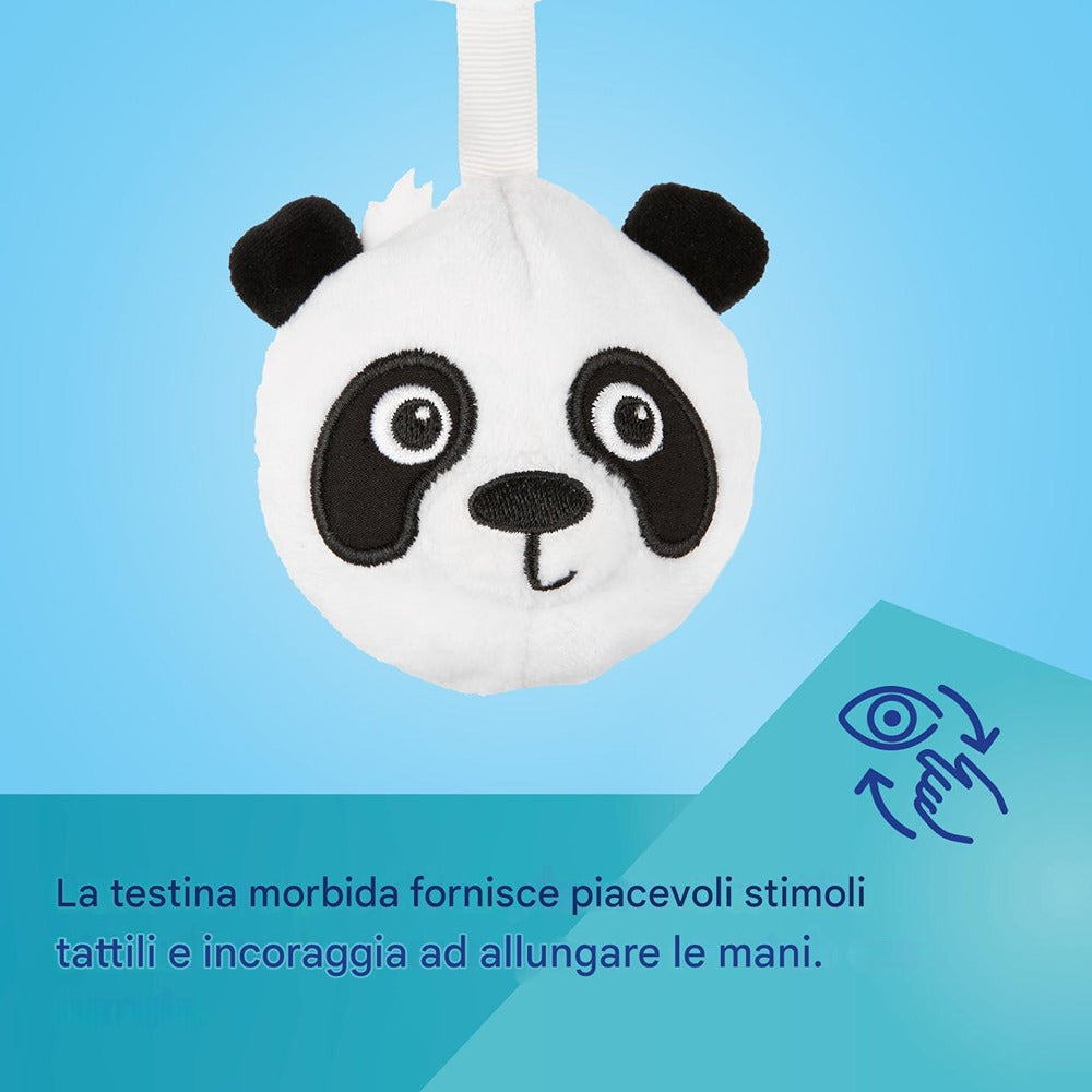 Giocattolo Sensoriale passeggino BabiesBoo