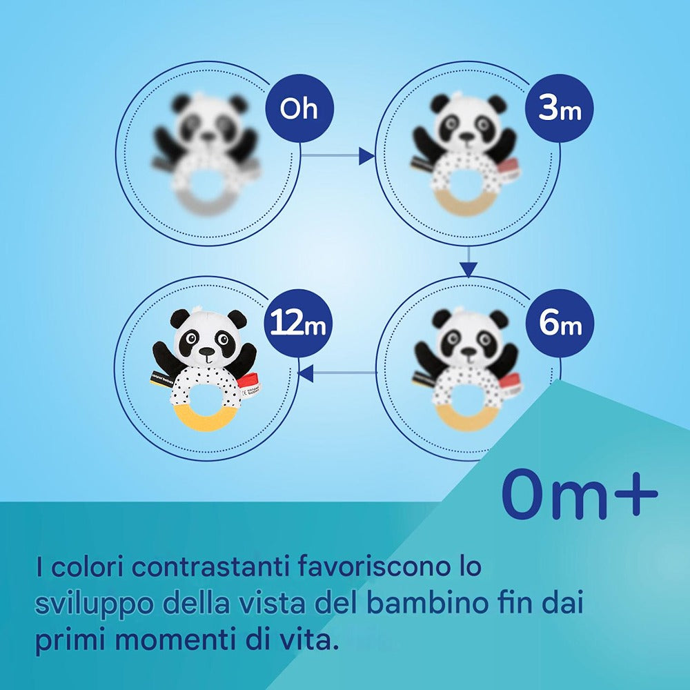 Palla Sensoriale con Sonaglio E Squeaker BabiesBoo