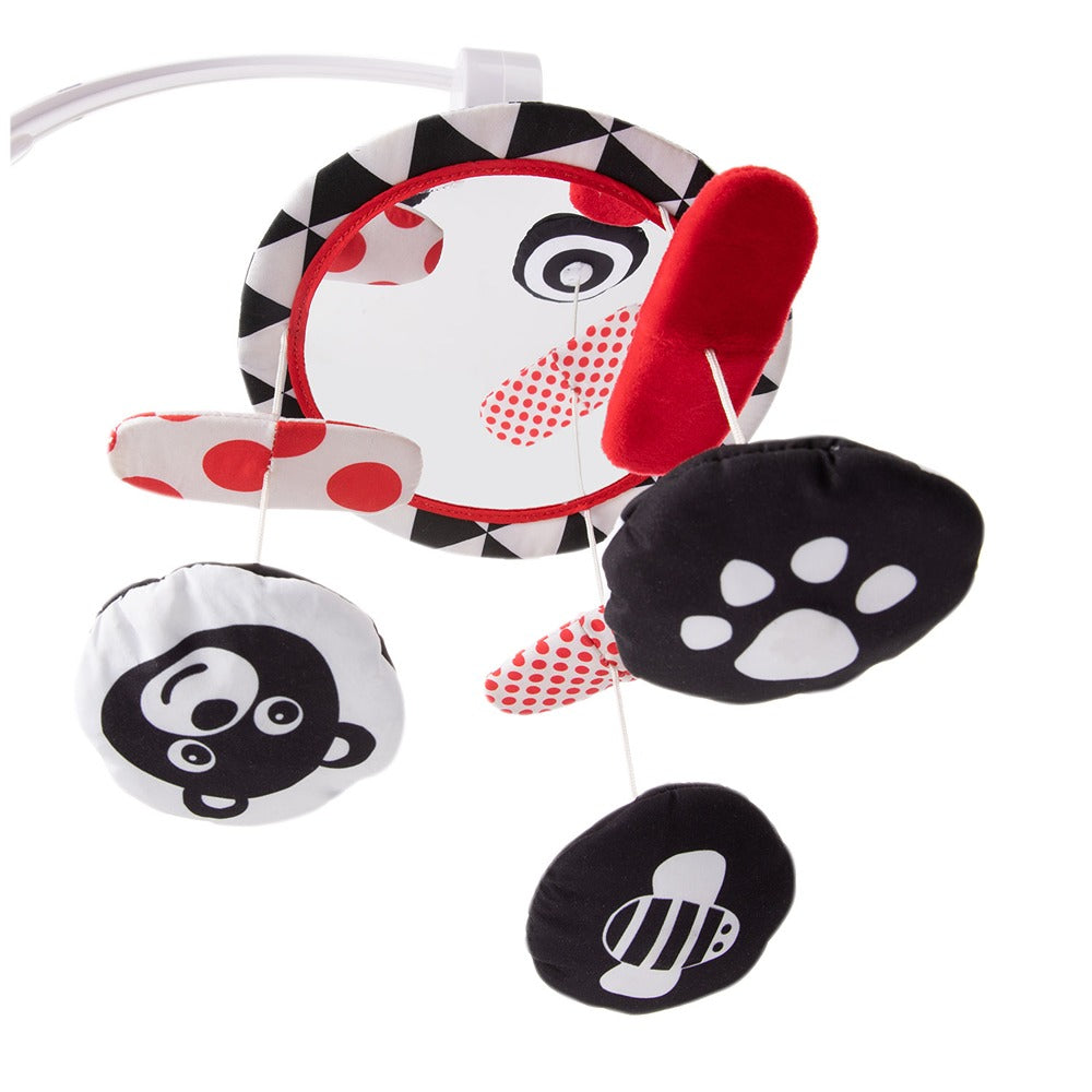 Giostrina Musicale Sensory Toys