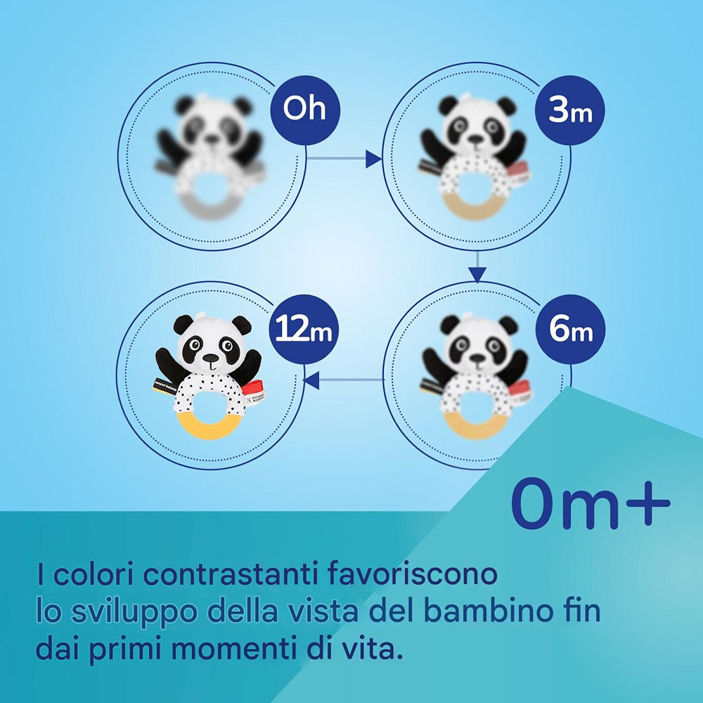 Giocattolo Sensoriale passeggino BabiesBoo