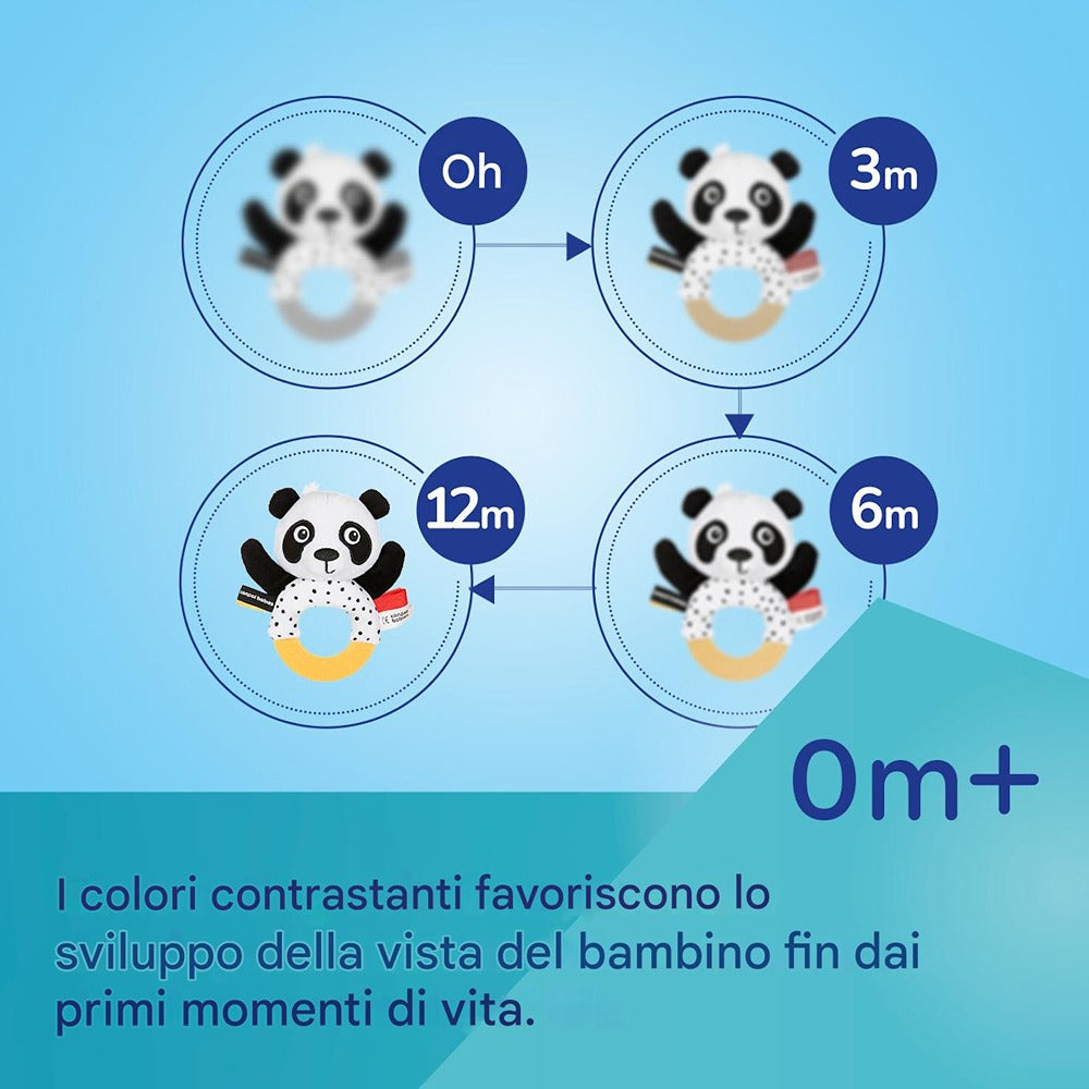 Palla Sensoriale con Sonaglio E Squeaker BabiesBoo
